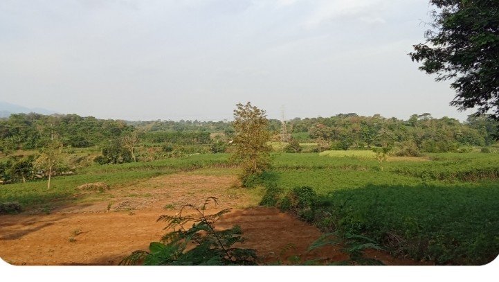 Agricultural lot in Kitamban, Binuangan, Misamis Oriental